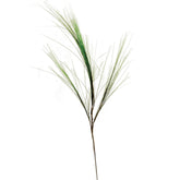 NEEDLE GRASS GREEN